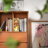 ROBOTIME Rolife DIY 3D Zarážka na knihy: Opadávající sakura s LED osvětlením 240 dílků