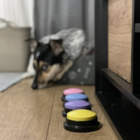 Výuková tlačítka se zvukem pro psy - 4 kusy