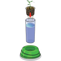 CLEMENTONI Science&Play Laboratoř: Hydroponická Botanika