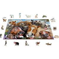 WOODEN CITY Dřevěné puzzle Koně všude kolem 505 dílků