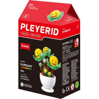 Sluban Flowers M38-B1073 Květiny s očima malé Displej 6 ks