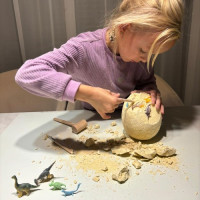 Dinosauří vejce - Vykopávka