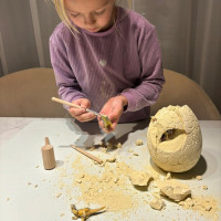 Dinosauří vejce - Vykopávka