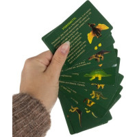 Dinosauří vejce - Vykopávka