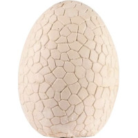 Dinosauří vejce - Vykopávka