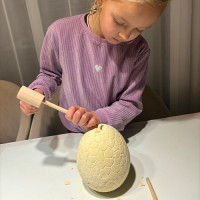 Dinosauří vejce - Vykopávka