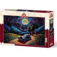 ART PUZZLE Puzzle Noc v Transylvanii 1000 dílků