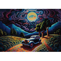 ART PUZZLE Puzzle Noc v Transylvanii 1000 dílků