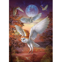ART PUZZLE Puzzle Noční sovy 1000 dílků