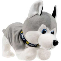Interaktivní pes Husky