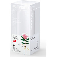 Sluban Flowers M38-B1101-03 Protea velká ve váze