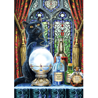 TREFL Puzzle Premium Plus Magic Collection: Čarodějný učeň 1000 dílků