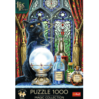TREFL Puzzle Premium Plus Magic Collection: Čarodějný učeň 1000 dílků
