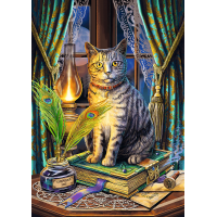 TREFL Puzzle Premium Plus Magic Collection: Kniha stínů 1000 dílků