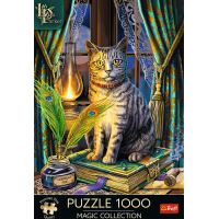 TREFL Puzzle Premium Plus Magic Collection: Kniha stínů 1000 dílků