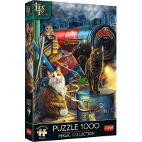 TREFL Puzzle Premium Plus Magic Collection: Witchwood Expres 1000 dílků