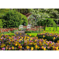 RAVENSBURGER Puzzle Kouzelné zahrady: Zahrada Evropy Keukenhof, Nizozemsko 1000 dílků