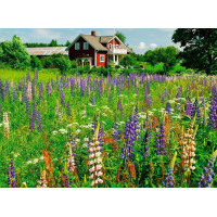 RAVENSBURGER Puzzle Skandinávie: Farma ve Švédsku 500 dílků