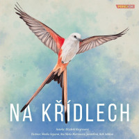 MINDOK Na křídlech
