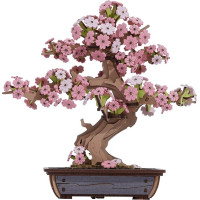 RoboTime 3D dřevěná skládačka Bonsaj sakura
