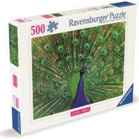 RAVENSBURGER Puzzle Majestátní páv 500 dílků