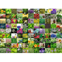 RAVENSBURGER Puzzle 99 bylinek 1000 dílků