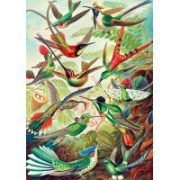 GOOD LOOT Puzzle Imagination: Ernst Haeckel - Kolibříci 1000 dílků