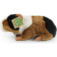 Rappa Plyšové morče 22 cm ECO-FRIENDLY