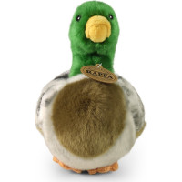Rappa Plyšová kachna divoká 20 cm ECO-FRIENDLY
