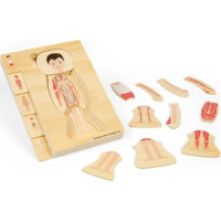 Bigjigs Toys Dřevěné puzzle Anatomie chlapec
