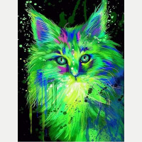 NORIMPEX Diamantové malování Fluorescenční kočka 30x40cm