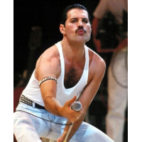 NORIMPEX Diamantové malování Freddie Mercury 30x40cm