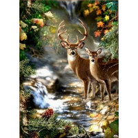 NORIMPEX Diamantové malování Jelen a srnka u lesního potoka 30x40cm