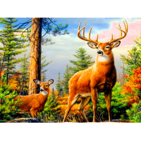 NORIMPEX Diamantové malování Jelen v horách 30x40cm