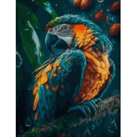 NORIMPEX Diamantové malování Papoušek 30x40cm