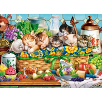 CASTORLAND Puzzle Dřímající koťata 200 dílků