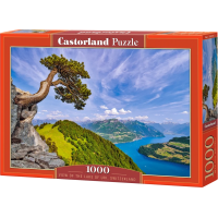 CASTORLAND Puzzle Pohled na jezero Uri, Švýcarsko 1000 dílků