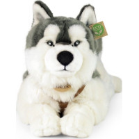 Rappa Plyšový pes husky s obojkem ležící 60 cm ECO-FRIENDLY