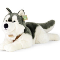 Rappa Plyšový pes husky s obojkem ležící 60 cm ECO-FRIENDLY