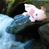 Rappa Plyšový axolotl 33 cm ECO-FRIENDLY