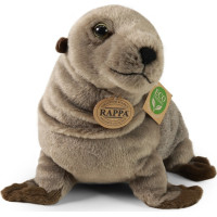 Rappa Plyšový lachtan 30 cm ECO-FRIENDLY