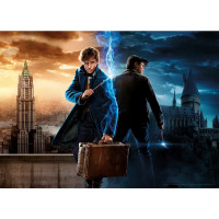 AQUARIUS Puzzle Harry Potter: Fantastická zvířata 1000 dílků