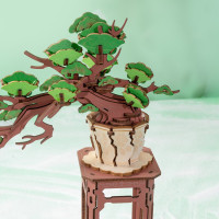 ROBOTIME Rolife DIY 3D dřevěné puzzle Bonsai z jehličnanu borovice 115 dílků