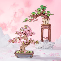 ROBOTIME Rolife DIY 3D dřevěné puzzle Bonsai z jehličnanu borovice 115 dílků