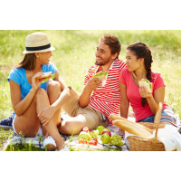 Pikniková deka 130x150 cm - Jungle