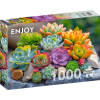 ENJOY Puzzle Sukulenty 1000 dílků