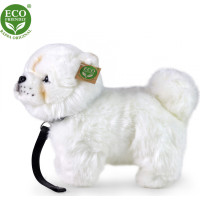 Rappa Plyšový pes Čau-čau 30 cm ECO-FRIENDLY