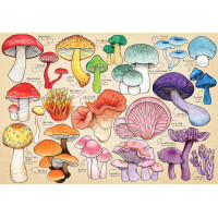 HOP Puzzle Houbová mánie 1000 dílků