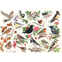 HOP Puzzle Ptáci v zahradě 1000 dílků