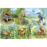 HOP Puzzle Studium přírody BIG 250 dílků